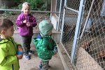 Kinder beim Hühnerhof