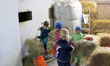 Kinder spielen auf dem Bauernhof